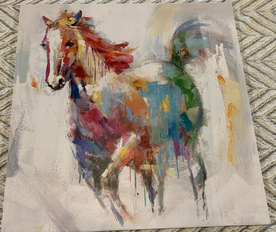 Painted Horse Picture on Canvas 
