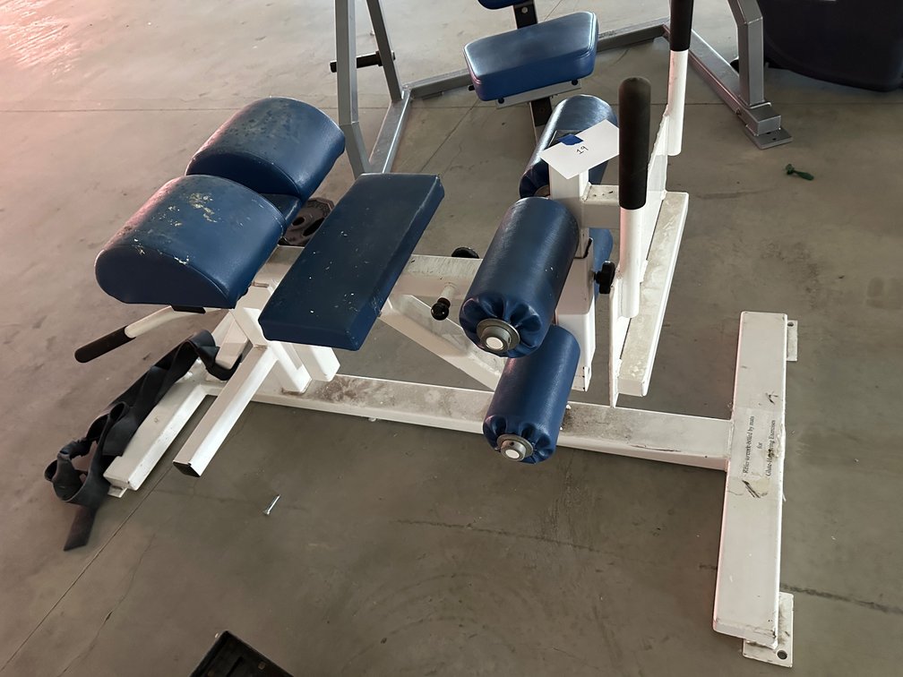 Adjustable Hyperextension Roman Chair with Blue Padding