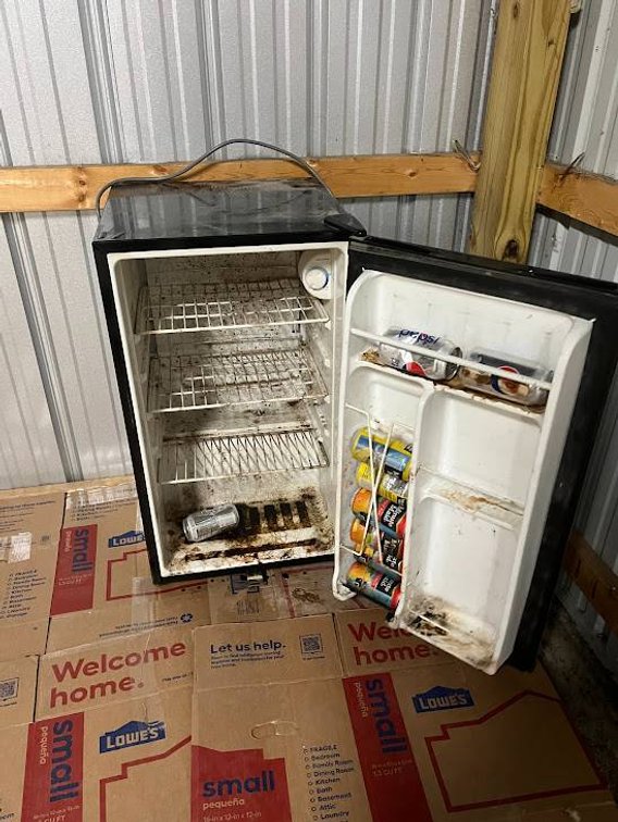 Compact Black Refrigerator with Single Door and Interior Shelves