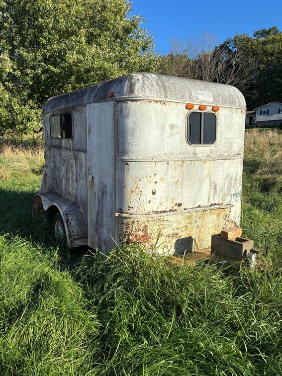 Kingston Two-Horse Straight Load Trailer