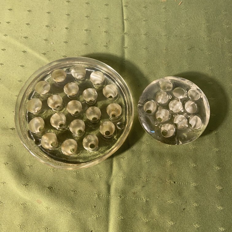 Clear Glass Flower Frogs, Round Form