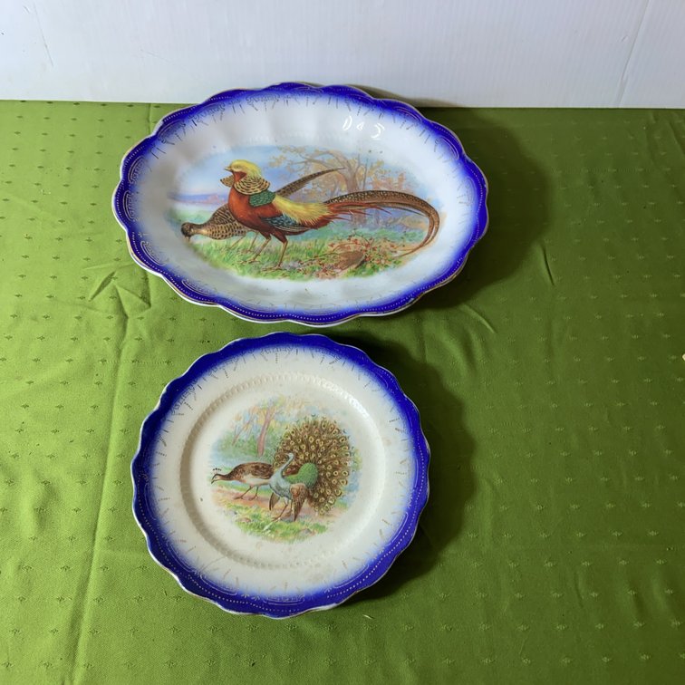 German Porcelain Plates with Bird Motifs, 2pc