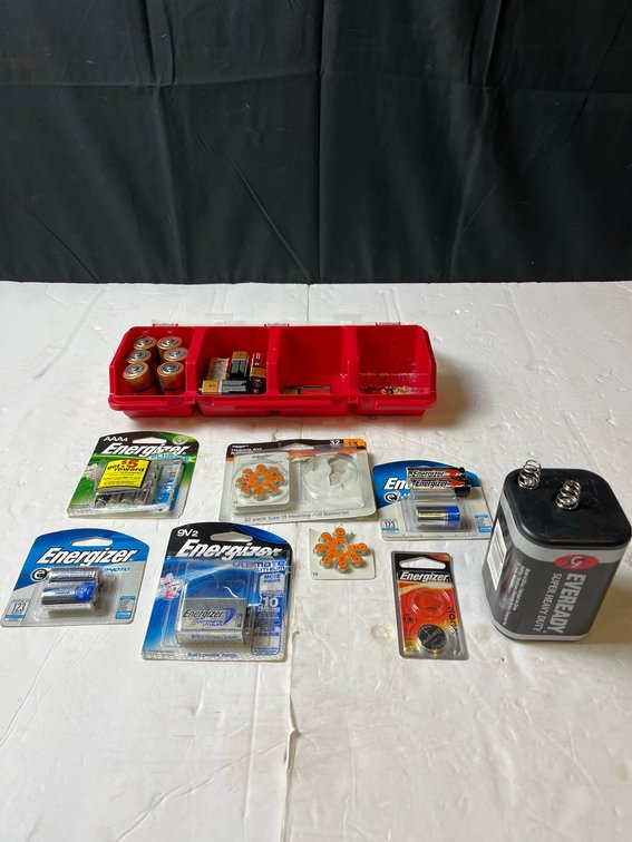 Batteries And Battery Organizer Lot