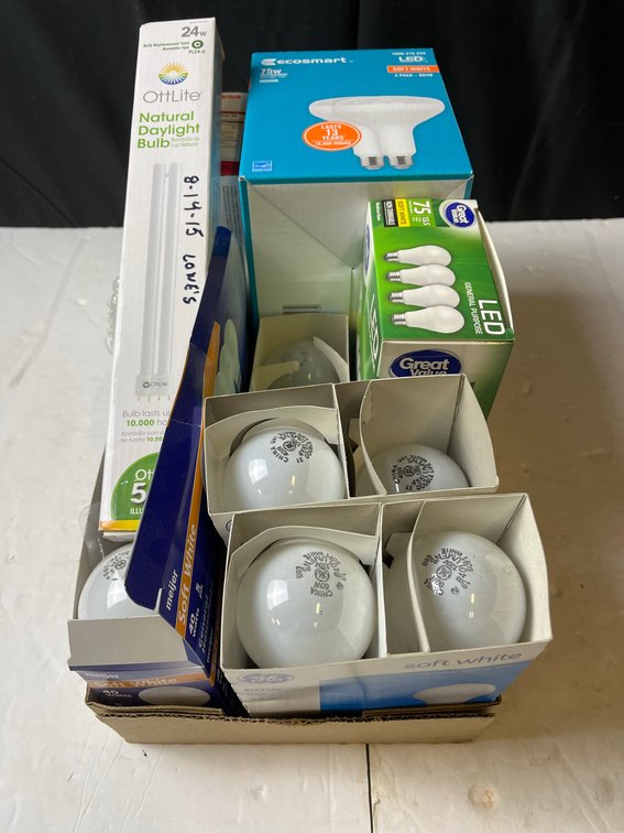 Incandescent and LED Light Bulb Lot