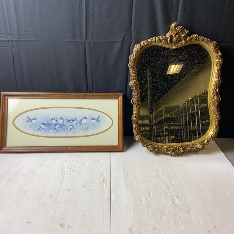 Carolina Mirror Ornate Wall Mirror & Art Print