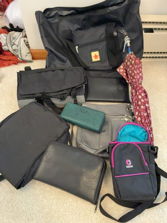 Travel Bag Lot Coast Swan Buxton Umbrella
