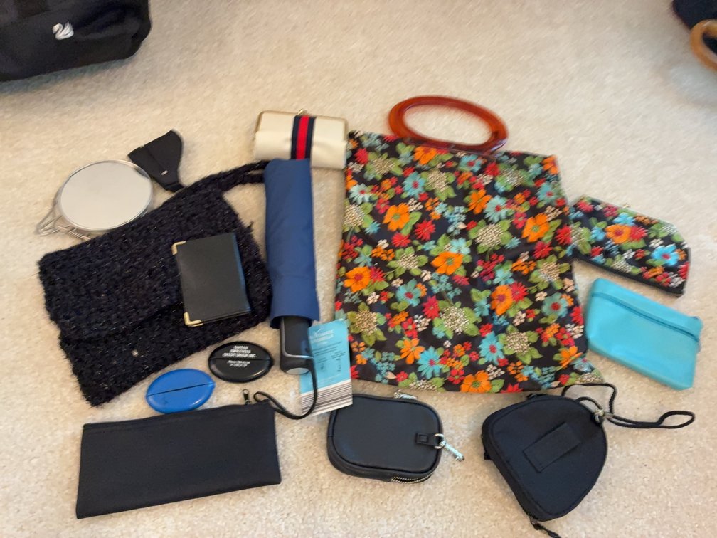 Handbags, Coin Purses, Cases, Accessories