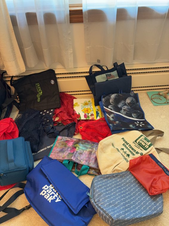 Reusable Tote Bags and Coolers Lot
