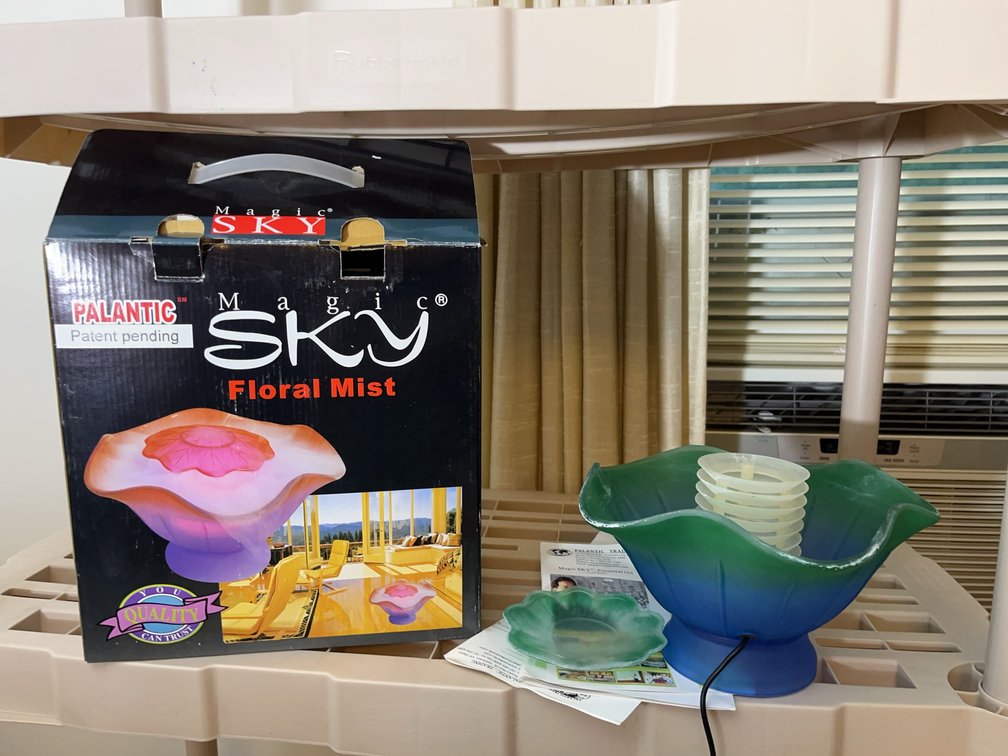Magic Sky PALANTIC Floral Mist Humidifier