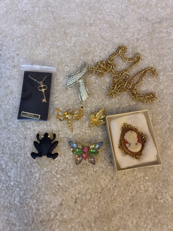 Costume Pins, Brooches, and Necklace Set