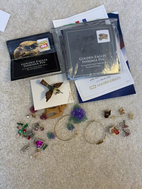 Stick & Lapel Pins and Jewelry Group