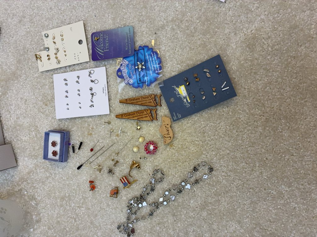 Costume Jewelry and Earrings Lot