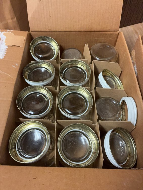 24 Golden Harvest Mason Jars with Lids