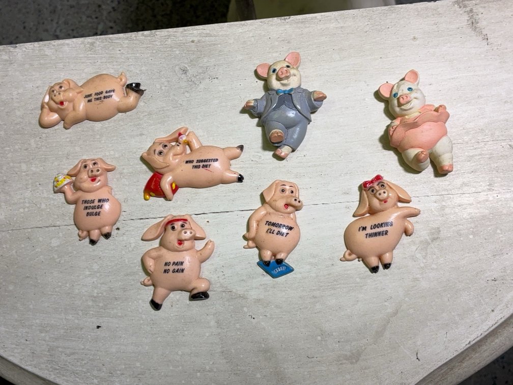 8 Pig Themed Motivational Fridge Magnets
