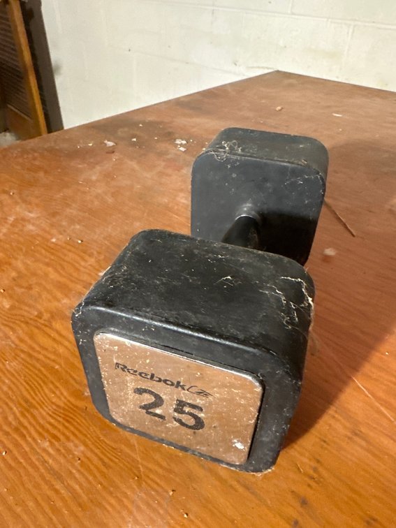Reebok 25 lb Square Black Dumbbell