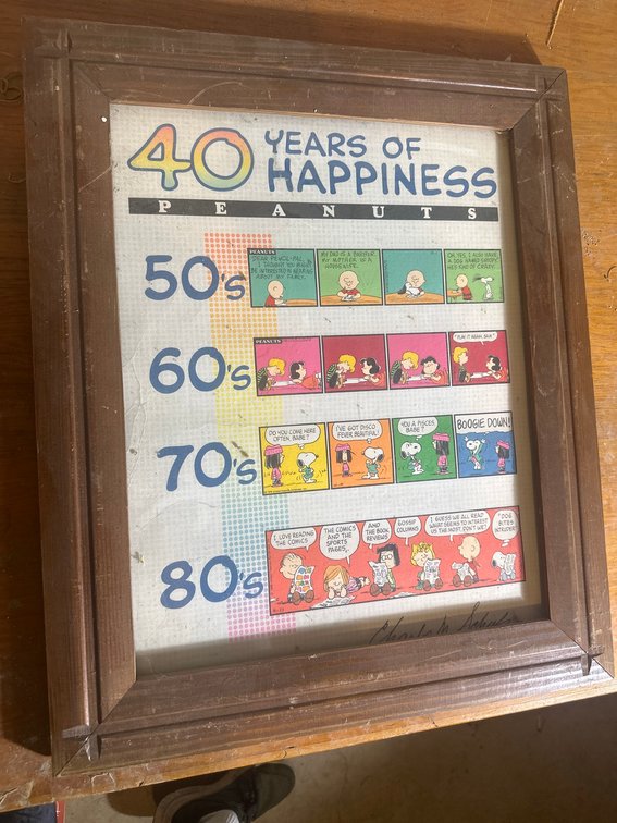 Peanuts 40 Years of Happiness Framed Print