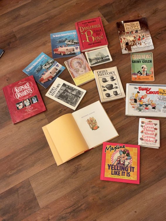 Vintage and Modern Book Collection