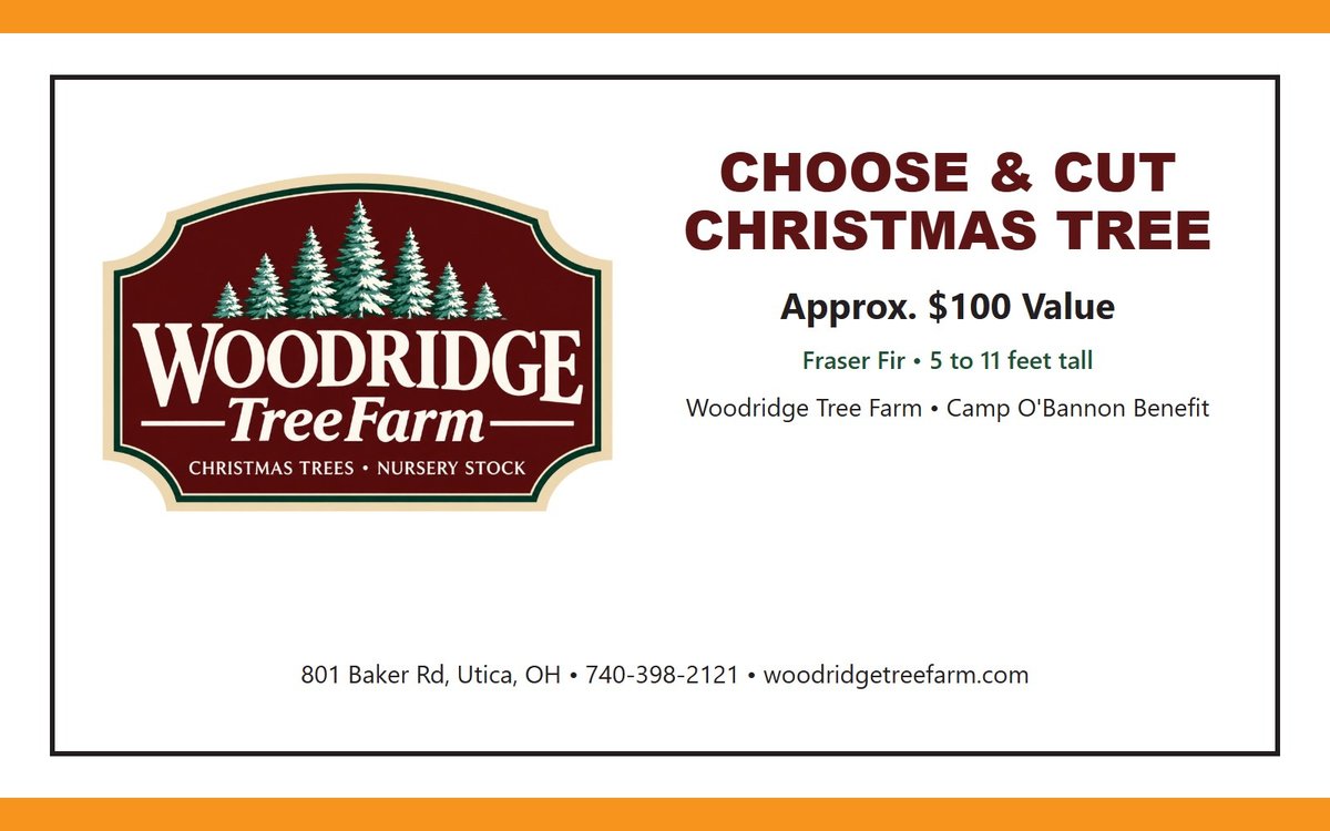 Choose & Cut Fraser Fir Christmas Tree - Woodridge Tree Farm, Utica (Approx. $100 Value) #2