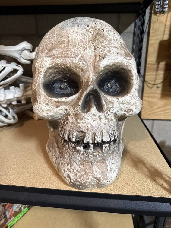 Animated Skull Halloween Decor Untested