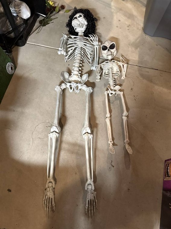 Two Plastic Skeleton Decorations, 1 with Wig