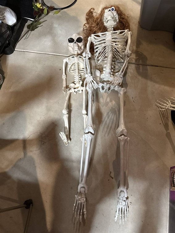 Plastic Skeleton Figures with Novelty Heads