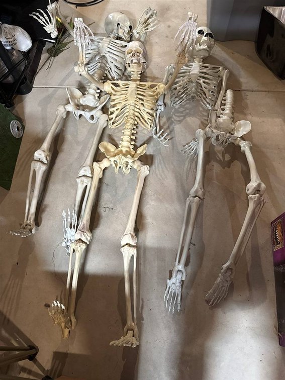 Three Plastic Poseable Skeletons