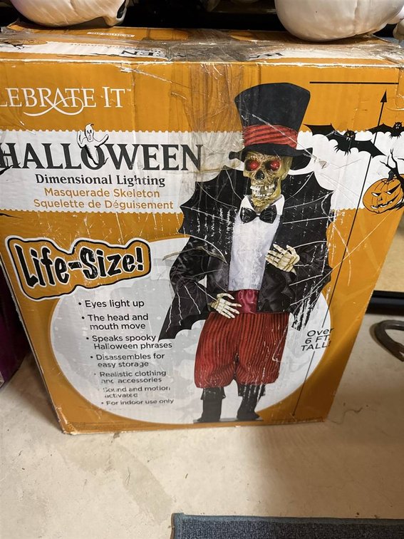 Celebrate It Halloween Skeleton Decoration