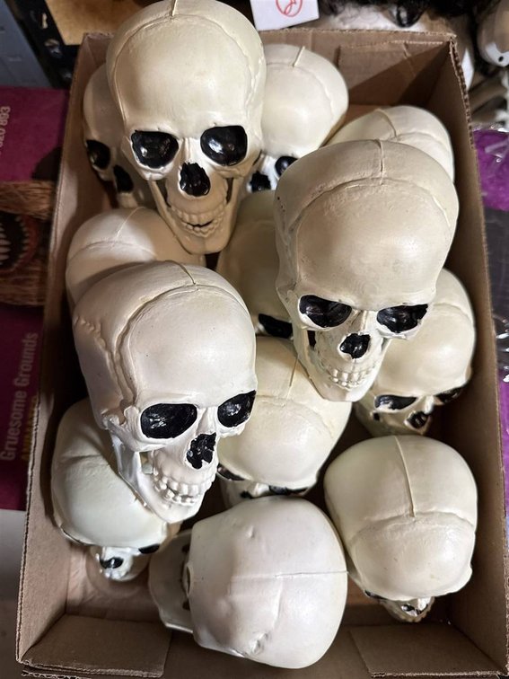 13 Plastic Skull Props