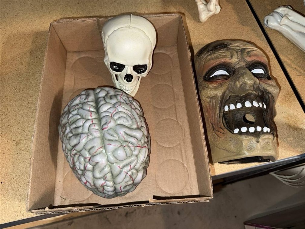 Halloween Props: Brain, Skull, Zombie Mask