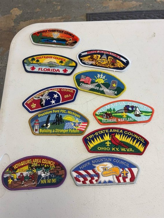 10 BSA Council Shoulder Patches