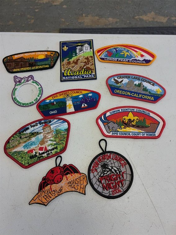 Boy Scouts Council Patch Collection, 11 Pieces