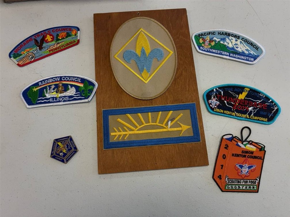 Boy Scouts Patch and Pin Collection Mixed Lot