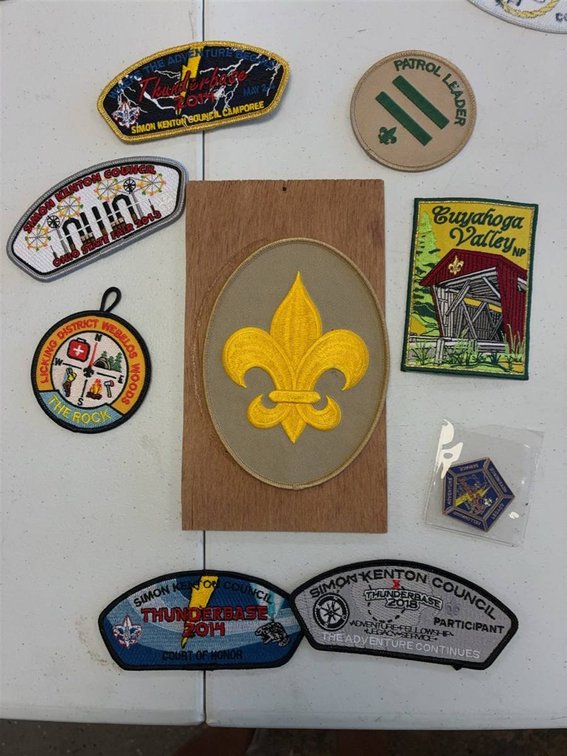 Boy Scouts Patches and Thunderbase 2014 Pin Lot