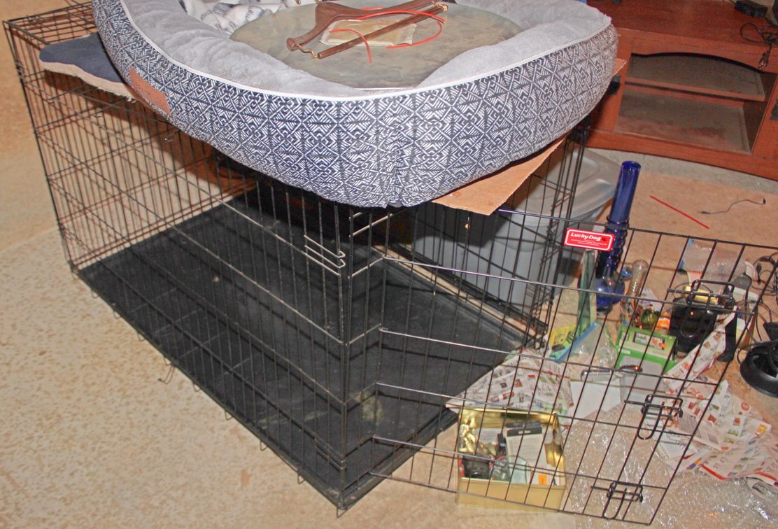 Image for LAST MINUTE! EMERGENCY TREASURE HUNTER'S ESTATE AUCTION