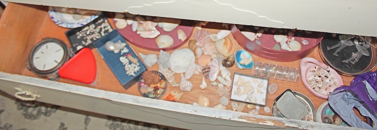 Image for LAST MINUTE! EMERGENCY TREASURE HUNTER'S ESTATE AUCTION