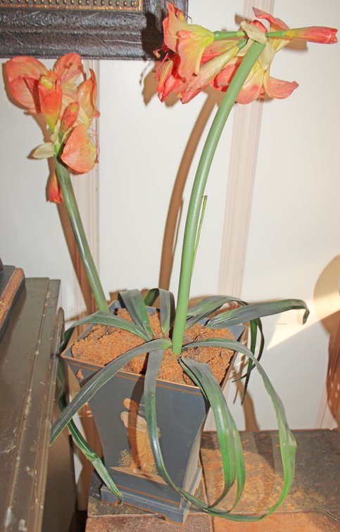 Image for ECLECTIC ESTATE AUCTION