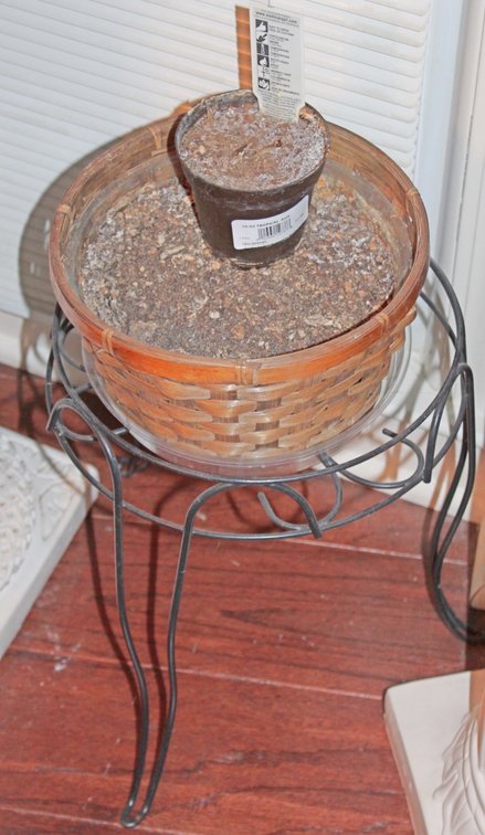 Image for UPSCALE LIVING ESTATE AUCTION