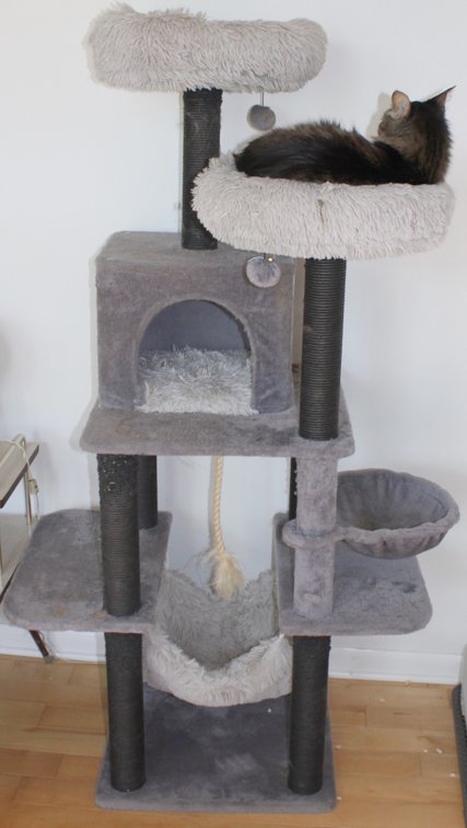 Image for MID CENTURY LIVING ESTATE AUCTION