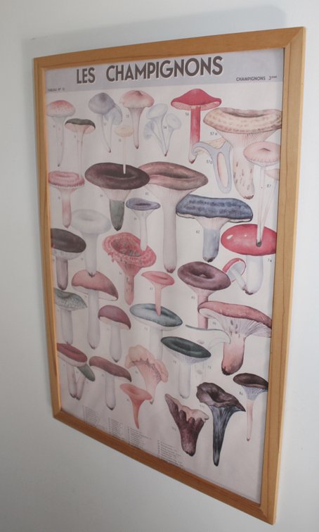 Image for MID CENTURY LIVING ESTATE AUCTION