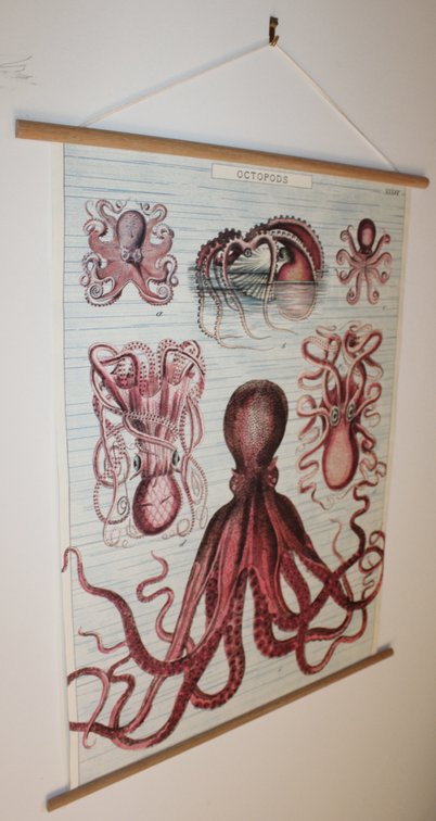 Image for MID CENTURY LIVING ESTATE AUCTION