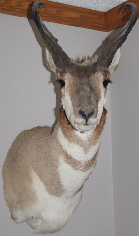 Image for EMERGENCY ESTATE AUCTION