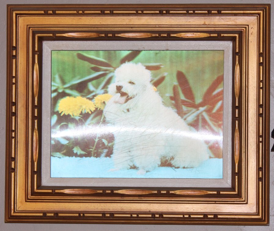 Image for EMERGENCY VINTAGE ESTATE AUCTION