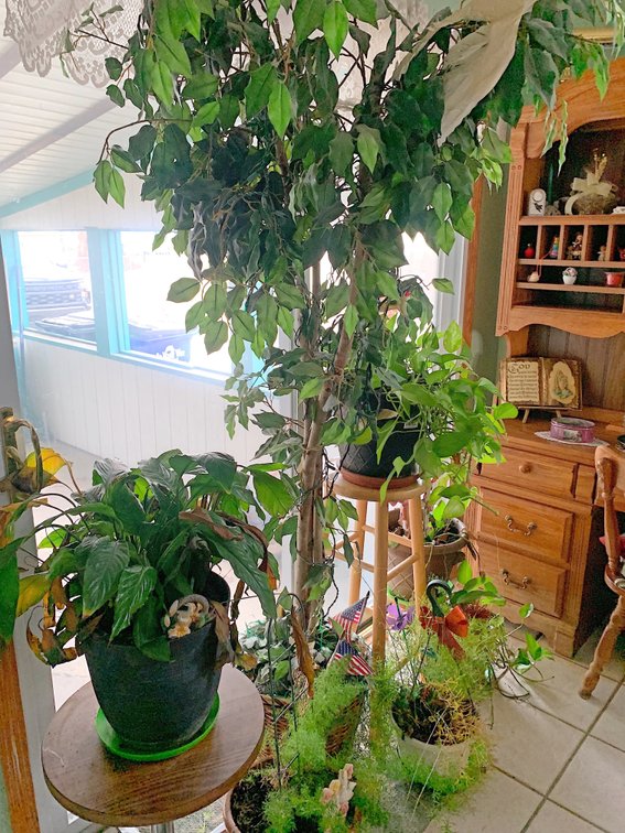 Image for ESTATE AUCTION
