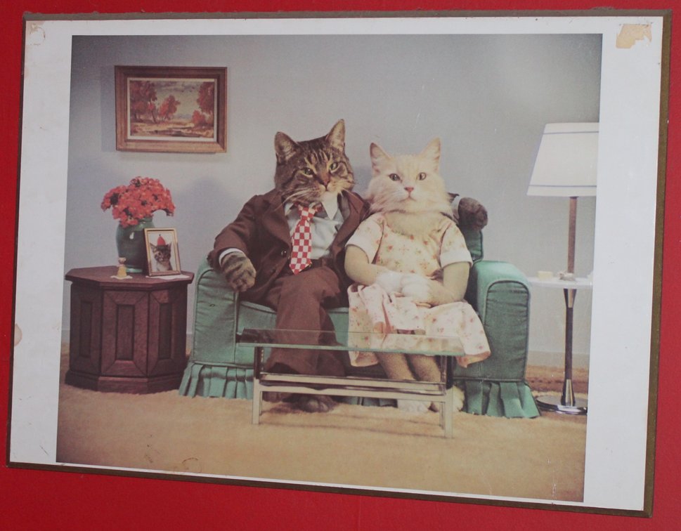 Image for EMERGENCY ESTATE AUCTION