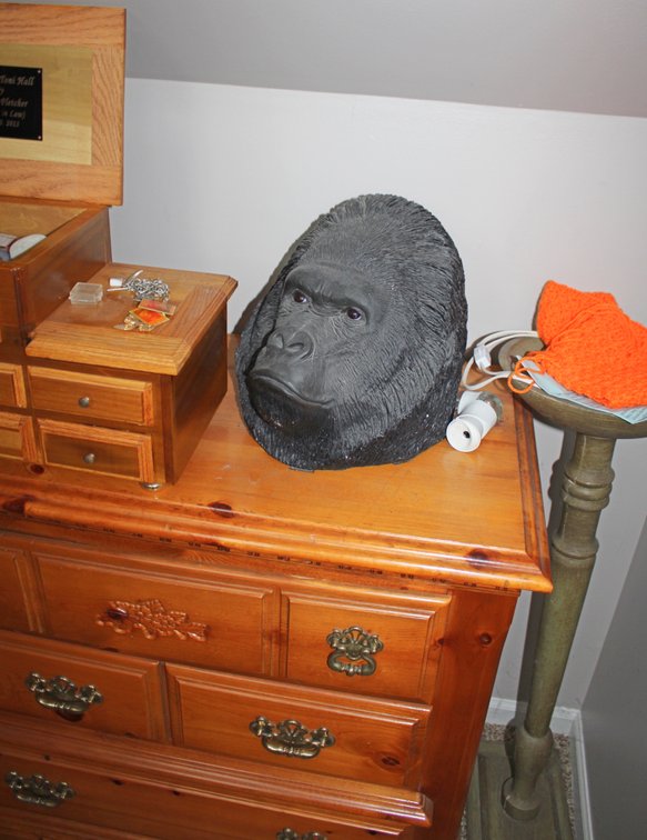 Image for HUGE COLLECTOR'S ESTATE AUCTION