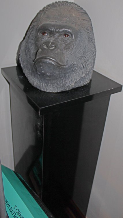 Image for HUGE COLLECTOR'S ESTATE AUCTION
