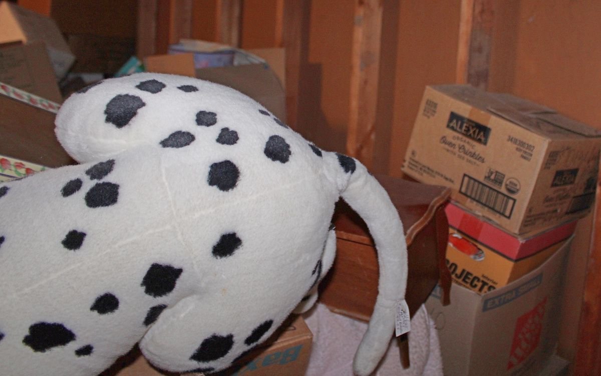 Image for EMERGENCY ANTIQUE DEALER'S INDOOR MYSTERY ESTATE AUCTION