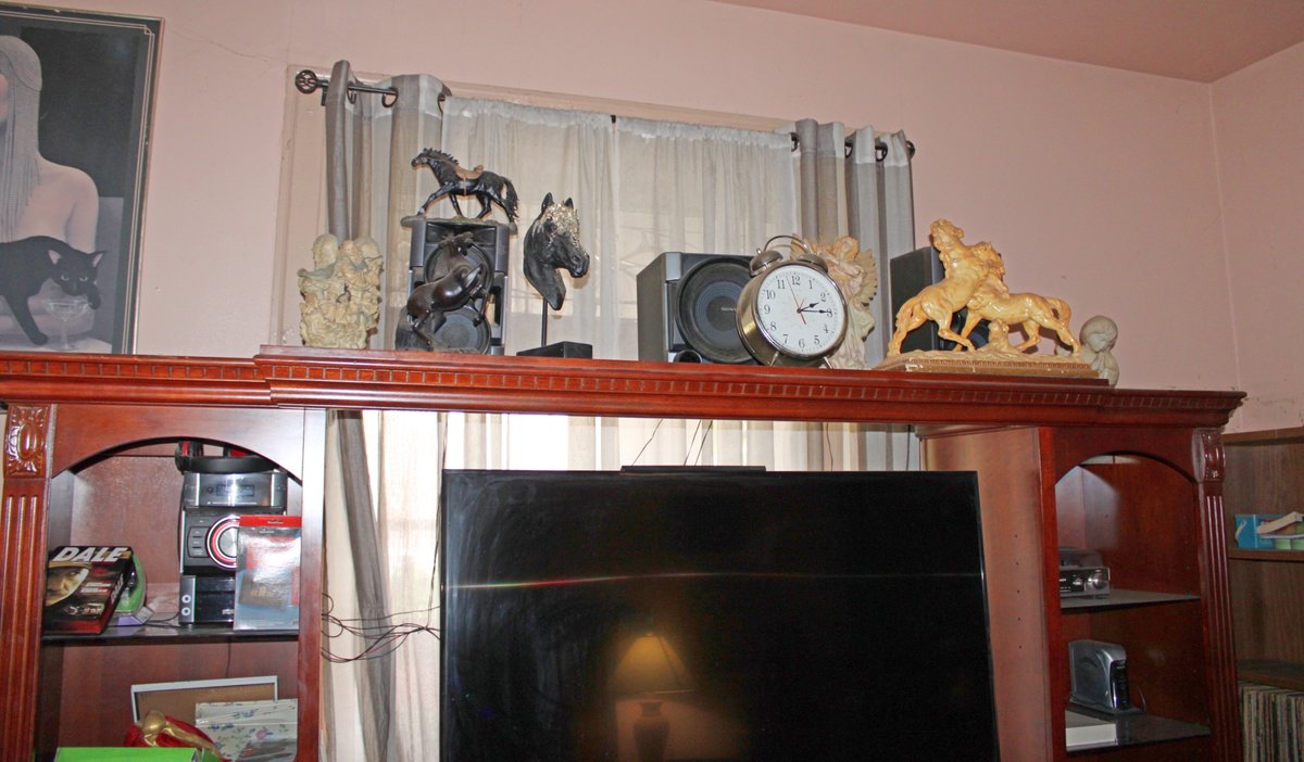 Image for TREASURE HUNTER'S LIVING ESTATE AUCTION
