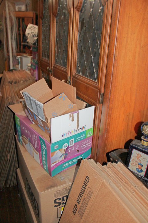 Image for TREASURE HUNTER'S LIVING ESTATE AUCTION