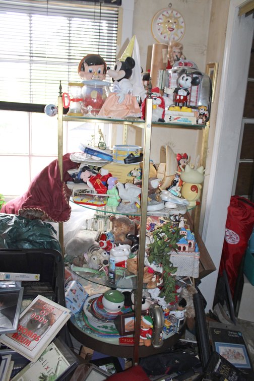 Image for TREASURE HUNTER'S LIVING ESTATE AUCTION